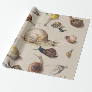 Papel De Presente Snail Slug Garden Pet Gastropod Botanical Snails