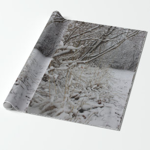 Papel De Presente Sob uma cobertura da neve