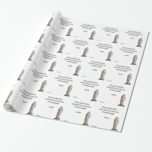 Papel De Presente Sócrates & Citações de "Grandes" Mentes
