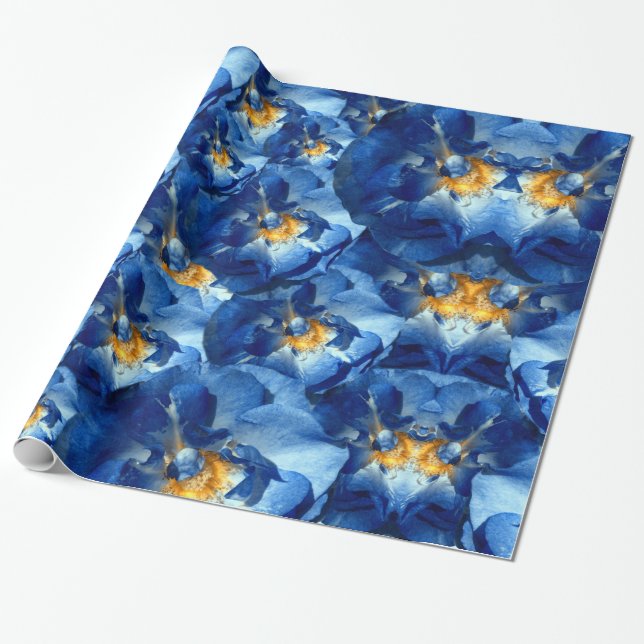 Papel De Presente Sonho azul, Rosa Floral Holiday Wrappaper (Desenrolado)