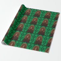 Spaniel de Água Irlandês