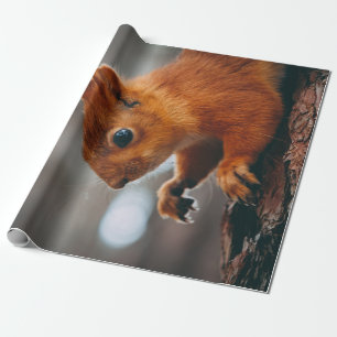 PAPEL DE PRESENTE SQUIRREL NO TRONCO DE ÁRVORE
