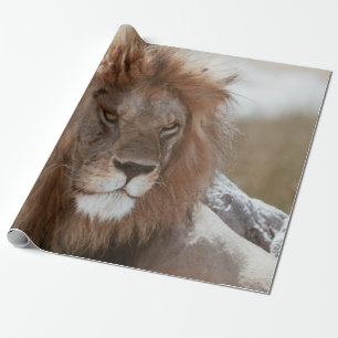 PAPEL DE PRESENTE SR. LION