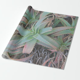 Papel De Presente suculentas de Nevada