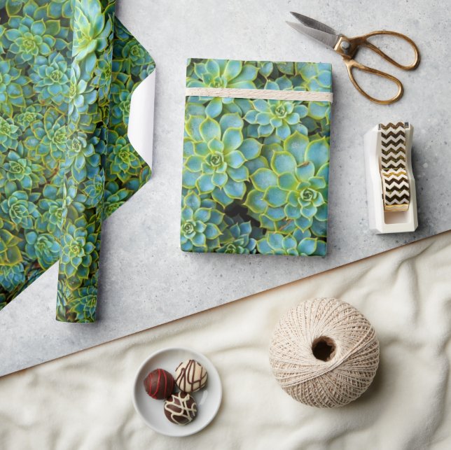 Papel De Presente Suculentes Saudáveis Verdes Brilhantes Plantas Ech (Artesanato)