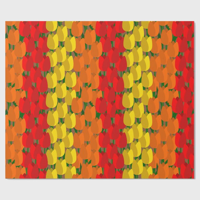 Papel De Presente Summer Tulip Field (Aberto)