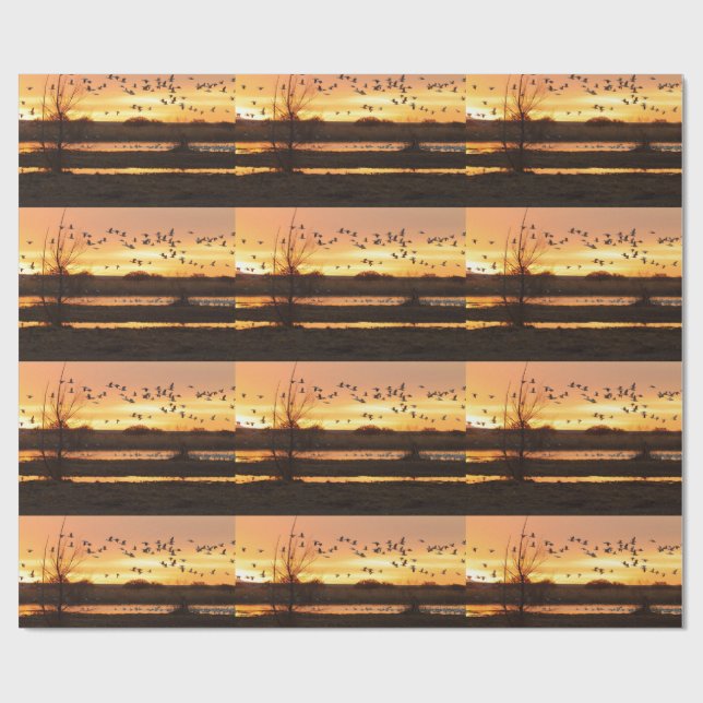 Papel De Presente Sunrise e Geese (Aberto)