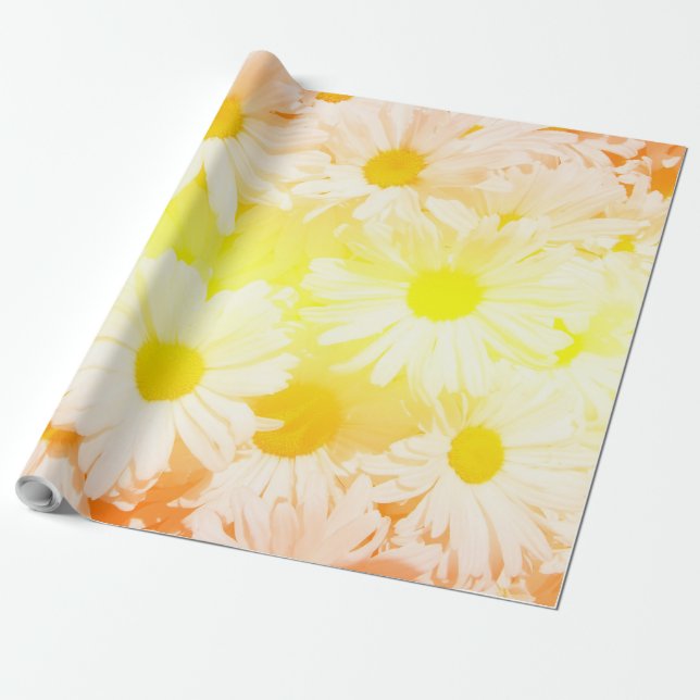 Papel De Presente Sunshine Daisies (Desenrolado)