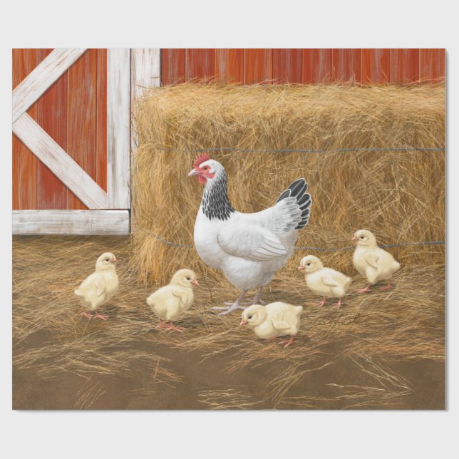 Papel De Presente Sussex Chicken Mama Hen e Pintinhos (Aberto)