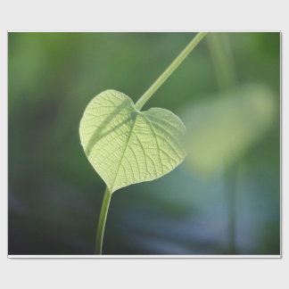 Papel De Presente "Sussurros da Natureza - A Folha Verde"