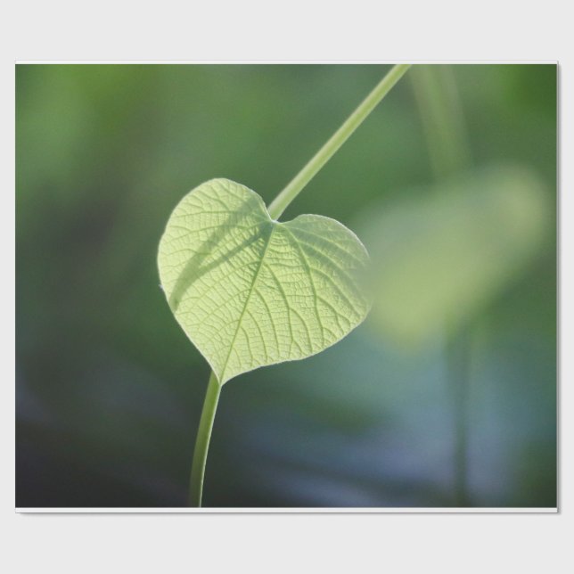 Papel De Presente "Sussurros da Natureza - A Folha Verde" (Aberto)