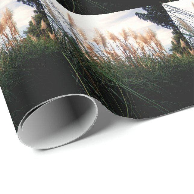 Papel De Presente "Sussurros do Vento: As Graus Brancas dos Pampas" (Ponta do rolo)