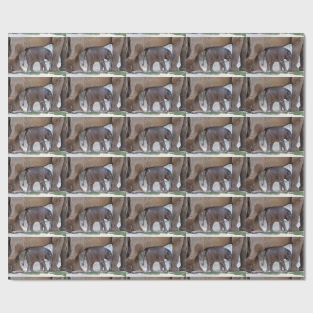 Papel De Presente Sweet Baby Elephant (Aberto)