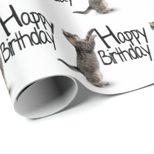 Papel De Presente Tabby Cat com texto de aniversário