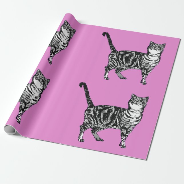 Papel De Presente Tabby Gato Quente Rosa Cor-de-Rosa Molhado (Desenrolado)