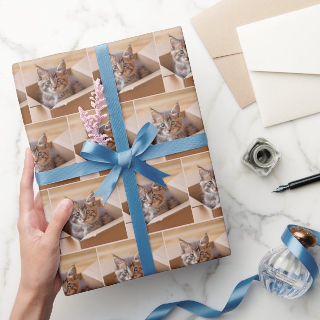 Papel De Presente Tabby Kitten Na Caixa De Cartão (Presentear)