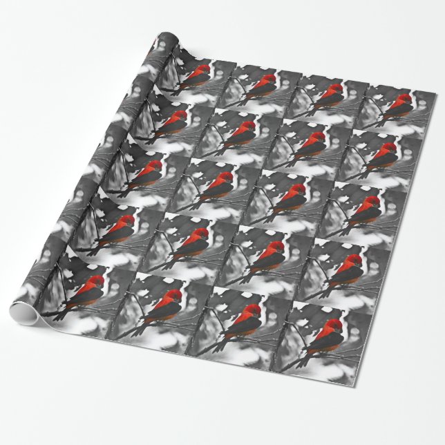 Papel De Presente Tanager Escarlate Macho (Desenrolado)