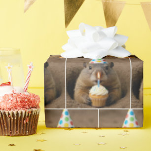 Papel De Presente Tatu-bola de aniversário com um Cupcake