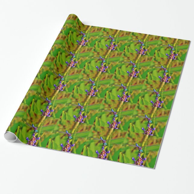 Papel De Presente Teal Rainbow Dragonfly (Desenrolado)