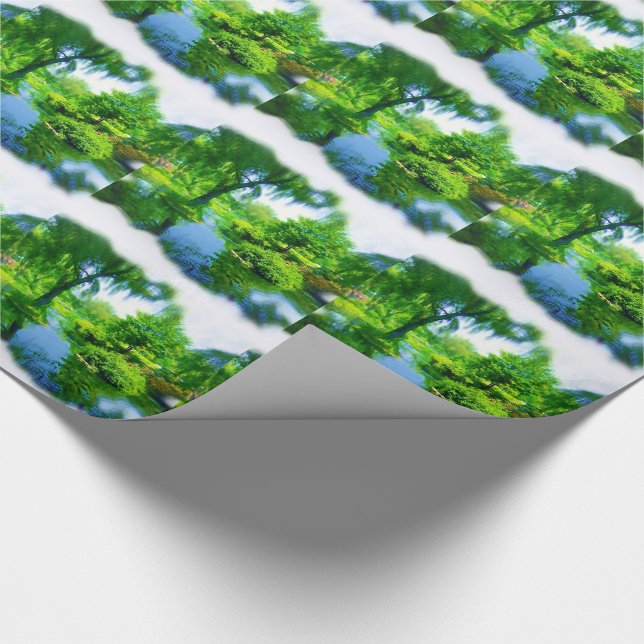 Papel De Presente Tempo Afastado da Cidade (Ponta)