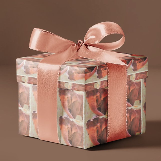 Papel De Presente Tempo De Reprodução Para Papel De Enrolamento De E (Criador carregado)