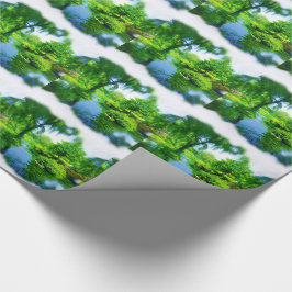 Papel De Presente Tempo longe da cidade