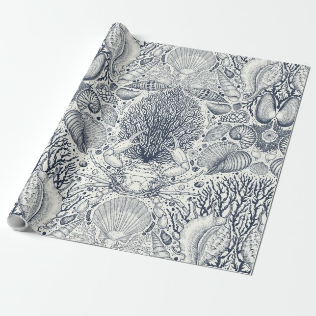 Papel De Presente Tesouros de praia, conchas marinhas, caranguejo, c (Desenrolado)