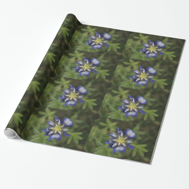 Papel De Presente Texas Bluebonnet Wraping Paper (Desenrolado)