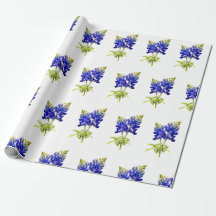 Texas Bluebonnets, papel de enrolamento