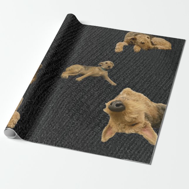 Papel De Presente The Obstinate Airedale Wrapping Paper (Desenrolado)