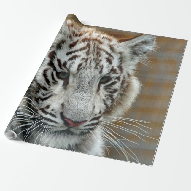 Papel De Presente Tigre20151001 (Desenrolado)