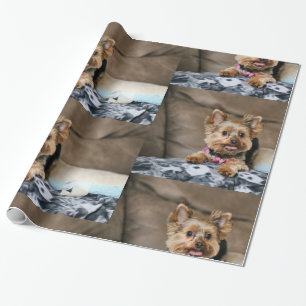 Papel De Presente Tiny Dynamo