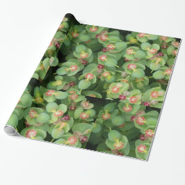 Papel De Presente Tiny Green Flora