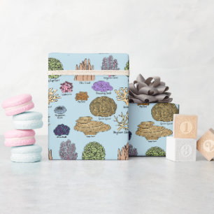 Papel De Presente Tipos De Coral