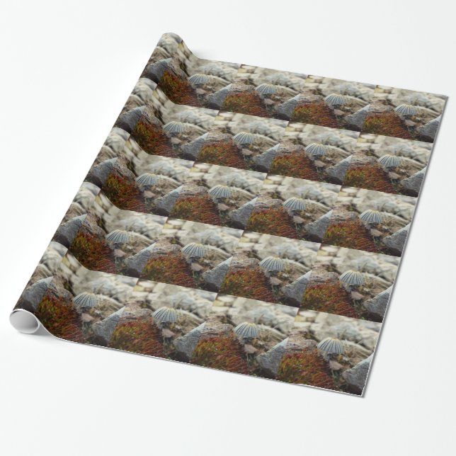 Papel De Presente Toadstool pequenina (Desenrolado)