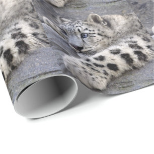 Papel De Presente Todos jogaram o papel para fora de envolvimento