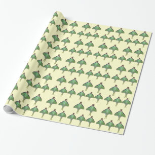 Papel De Presente Traça de Luna
