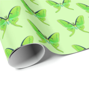 Papel De Presente Traça de Luna em um fundo verde pálido