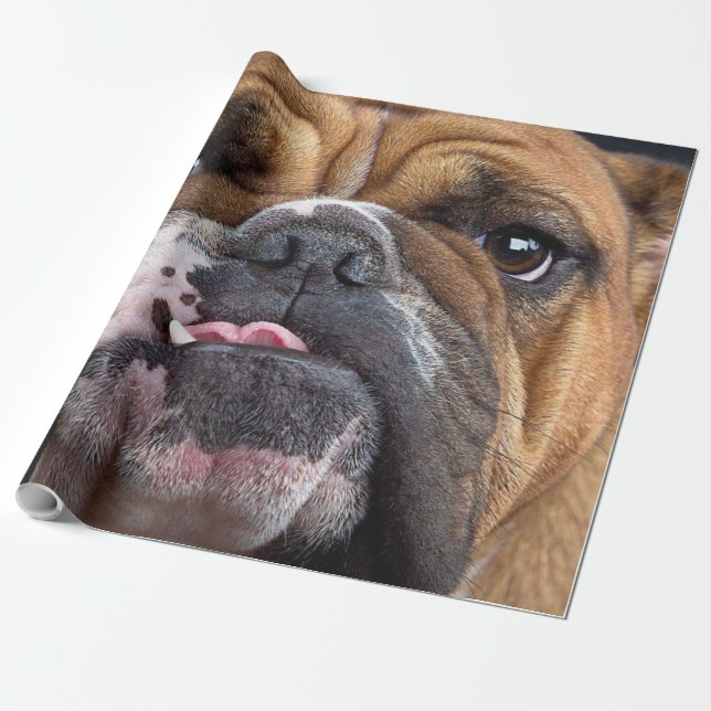 Papel De Presente Travesseiro de Bulldog Inglês (Desenrolado)