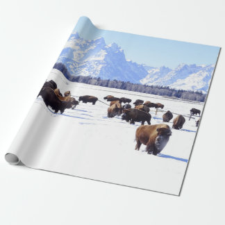 Papel De Presente Trazendo a casa do ar livre