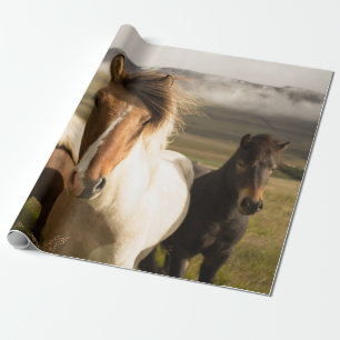 PAPEL DE PRESENTE TRÊS CAVALOS DE COR ASSORTADA A CORRER DE UM MO