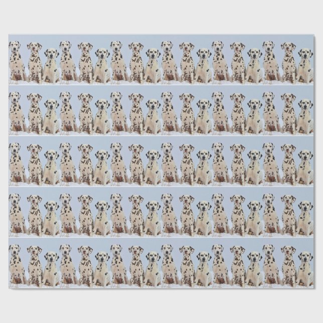Papel De Presente Três Dalmatians (Aberto)
