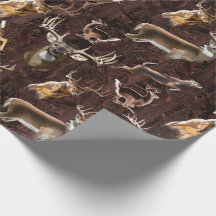 Trophy Whitetail Bucks