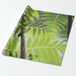 Papel De Presente  Tropical Verde