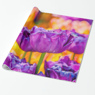 Papel De Presente Tulipas Encantando Roxo