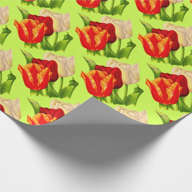 Papel De Presente tulipas impressão (Ponta)