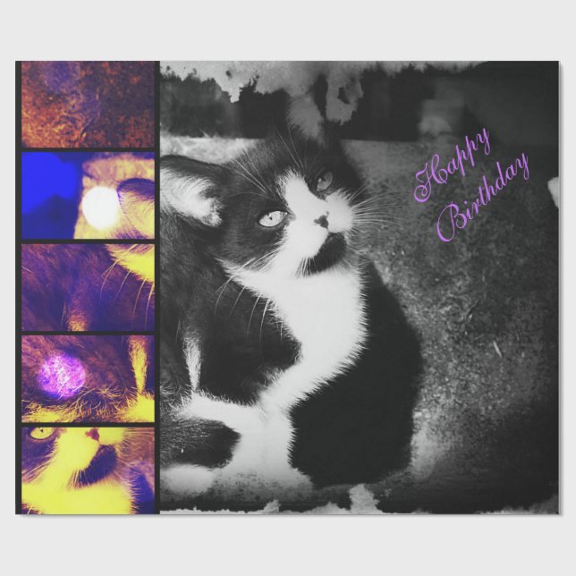 Papel De Presente Tuxedo Kitten Photo Art Wrappaper *Aniversário* (Aberto)