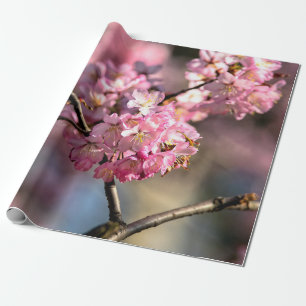 Papel De Presente Twigs da Árvore Sakura cruzados