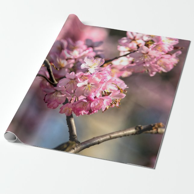 Papel De Presente Twigs da Árvore Sakura cruzados (Desenrolado)