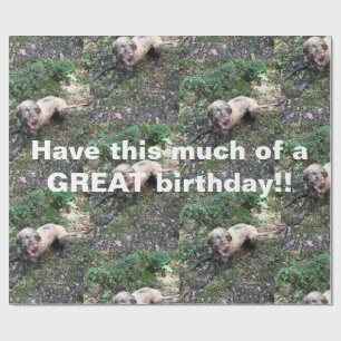 Papel De Presente Um engraçado rolo de papel embrulhado da Vizsla hú